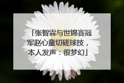 张智霖与世锦赛冠军赵心童切磋球技，本人发声：很梦幻