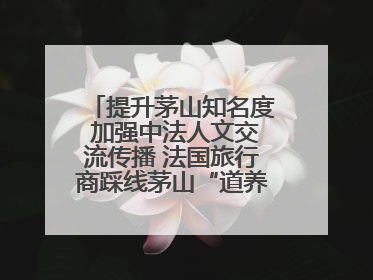 提升茅山知名度 加强中法人文交流传播 法国旅行商踩线茅山“道养文化产品”
