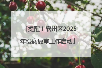提醒！襄州区2025年慢病复审工作启动