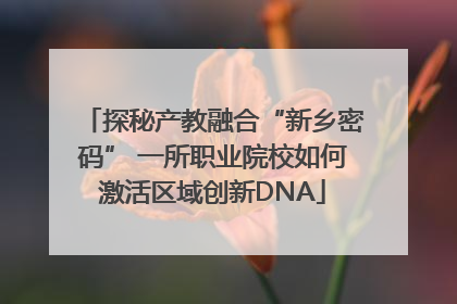 探秘产教融合“新乡密码” 一所职业院校如何激活区域创新DNA