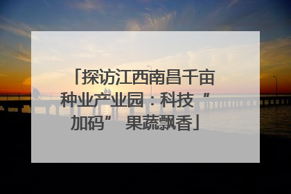 探访江西南昌千亩种业产业园：科技“加码” 果蔬飘香