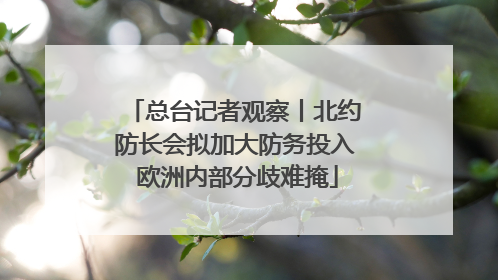 总台记者观察丨北约防长会拟加大防务投入 欧洲内部分歧难掩