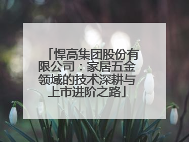 悍高集团股份有限公司：家居五金领域的技术深耕与上市进阶之路