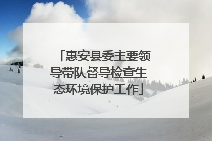 惠安县委主要领导带队督导检查生态环境保护工作
