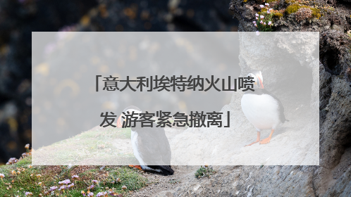 意大利埃特纳火山喷发 游客紧急撤离