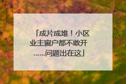 成片成堆！小区业主窗户都不敢开……问题出在这