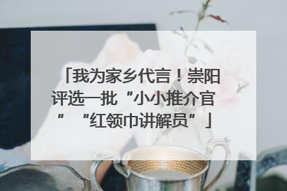 我为家乡代言！崇阳评选一批“小小推介官”“红领巾讲解员”