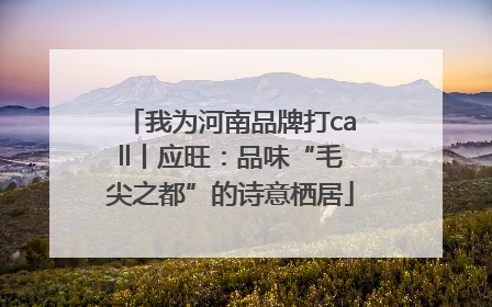 我为河南品牌打call丨应旺：品味“毛尖之都”的诗意栖居