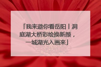 我来邀你看岳阳丨洞庭湖大桥彩绘换新颜，一城湖光入画来