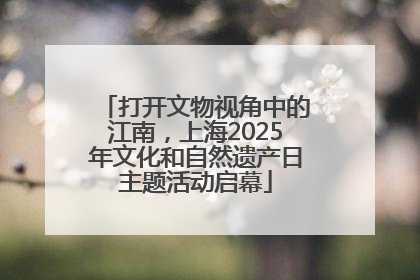 打开文物视角中的江南，上海2025年文化和自然遗产日主题活动启幕
