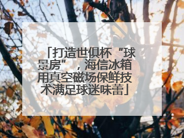 打造世俱杯“球景房”，海信冰箱用真空磁场保鲜技术满足球迷味蕾