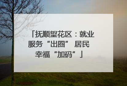 抚顺望花区：就业服务“出圈” 居民幸福“加码”