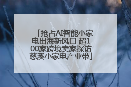 抢占AI智能小家电出海新风口 超100家跨境卖家探访慈溪小家电产业带