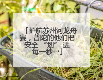 护航苏州河龙舟赛，普陀的他们把安全 “划” 进每一秒→