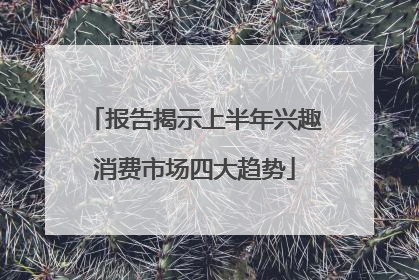 报告揭示上半年兴趣消费市场四大趋势