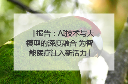 报告：AI技术与大模型的深度融合 为智能医疗注入新活力