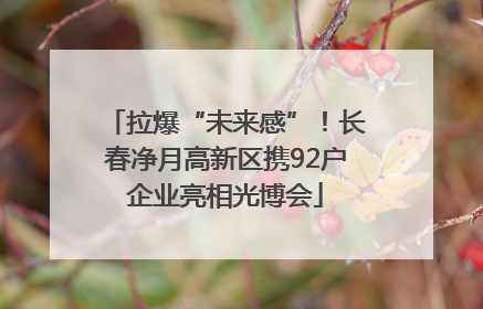 拉爆“未来感”！长春净月高新区携92户企业亮相光博会