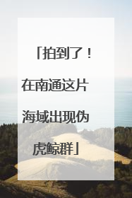 拍到了！在南通这片海域出现伪虎鲸群