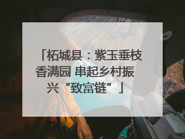 柘城县：紫玉垂枝香满园 串起乡村振兴“致富链”