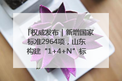 权威发布｜新增国家标准2964项，山东构建“1+4+N”标准化创新发展新格局
