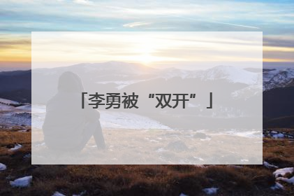 李勇被“双开”