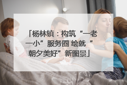 杨林镇：构筑“一老一小”服务圈 绘就“朝夕美好”新图景