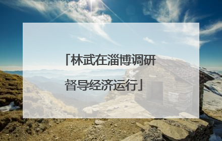 林武在淄博调研督导经济运行