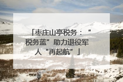枣庄山亭税务：“税务蓝”助力退役军人“再起航”