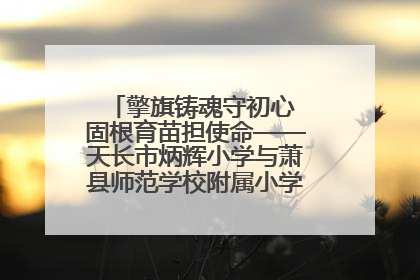 擎旗铸魂守初心 固根育苗担使命——天长市炳辉小学与萧县师范学校附属小学结对共建活动纪实