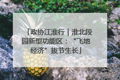 政协江淮行｜淮北段园新型功能区：“飞地经济”拔节生长