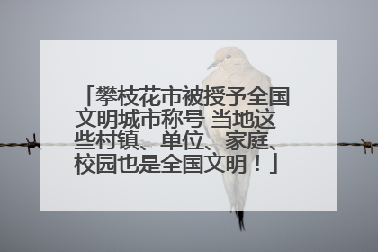 攀枝花市被授予全国文明城市称号 当地这些村镇、单位、家庭、校园也是全国文明！