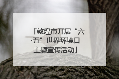 敦煌市开展“六·五”世界环境日主题宣传活动