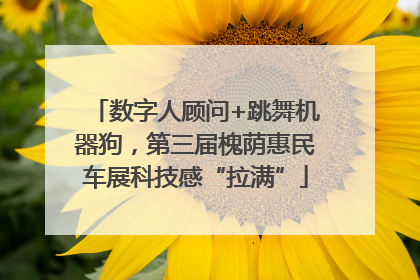 数字人顾问+跳舞机器狗，第三届槐荫惠民车展科技感“拉满”