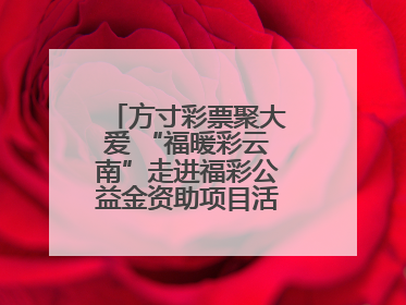 方寸彩票聚大爱 “福暖彩云南”走进福彩公益金资助项目活动在曲靖举行