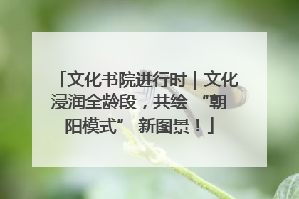 文化书院进行时｜文化浸润全龄段，共绘 “朝阳模式” 新图景！