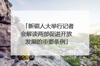 新疆人大举行记者会解读两部促进开放发展的重要条例