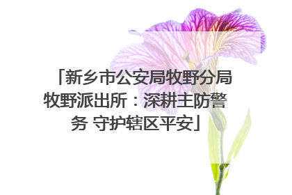 新乡市公安局牧野分局牧野派出所：深耕主防警务 守护辖区平安