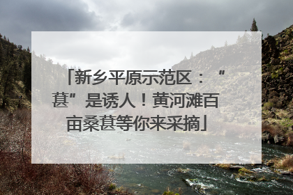 新乡平原示范区：“葚”是诱人！黄河滩百亩桑葚等你来采摘