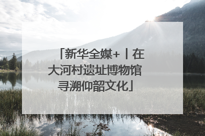 新华全媒+丨在大河村遗址博物馆寻溯仰韶文化