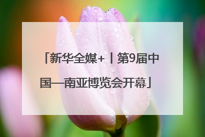 新华全媒+丨第9届中国—南亚博览会开幕