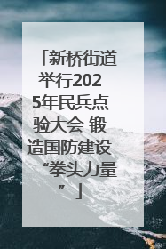 新桥街道举行2025年民兵点验大会 锻造国防建设“拳头力量”