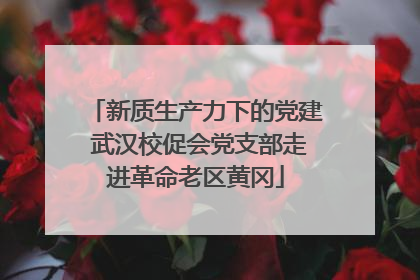 新质生产力下的党建 武汉校促会党支部走进革命老区黄冈