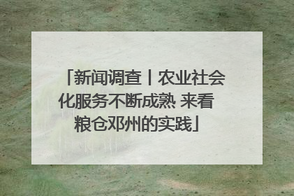 新闻调查丨农业社会化服务不断成熟 来看粮仓邓州的实践