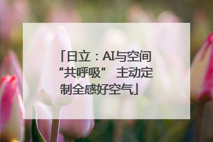 日立：AI与空间“共呼吸” 主动定制全感好空气