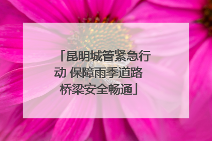 昆明城管紧急行动 保障雨季道路桥梁安全畅通