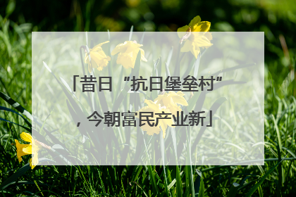 昔日“抗日堡垒村”，今朝富民产业新