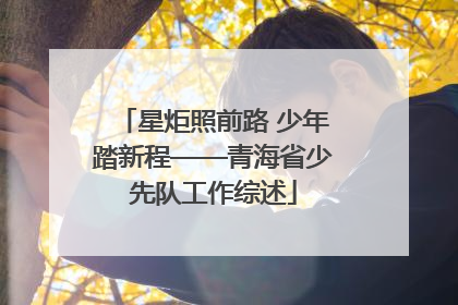 星炬照前路 少年踏新程——青海省少先队工作综述