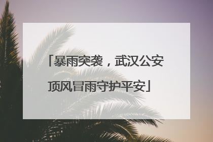 暴雨突袭，武汉公安顶风冒雨守护平安