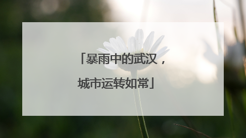 暴雨中的武汉，城市运转如常