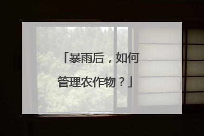 暴雨后，如何管理农作物？